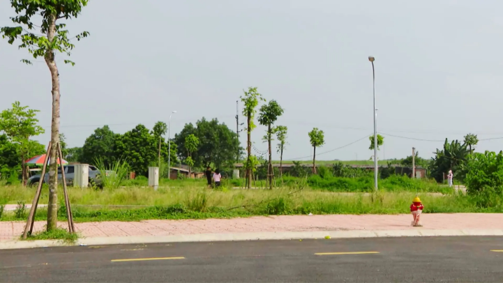 Thị trường đất đấu giá chững lại sau thời kỳ sốt nóng